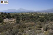 Neo Kalamaki Kreta, Kalamaki Baugrundstück 6.000m² purer kretischer Zauber. Grundstück kaufen